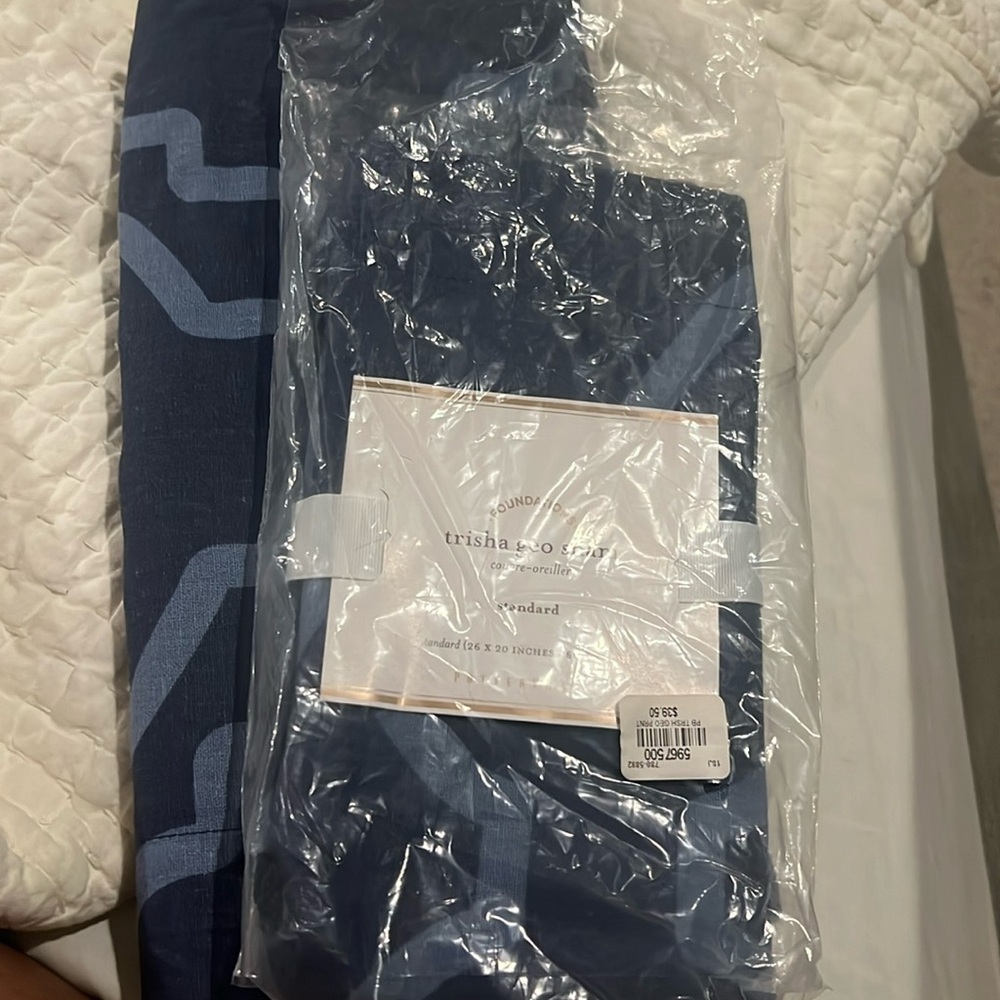 Pottery Barn Standard Pillow Shams